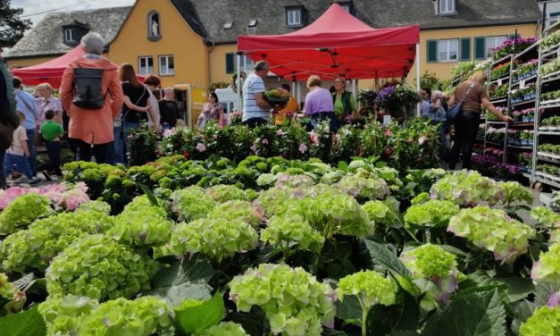 Bendorfer Bauern- und Gartenmarkt lockt mit vielseitigem Programm
