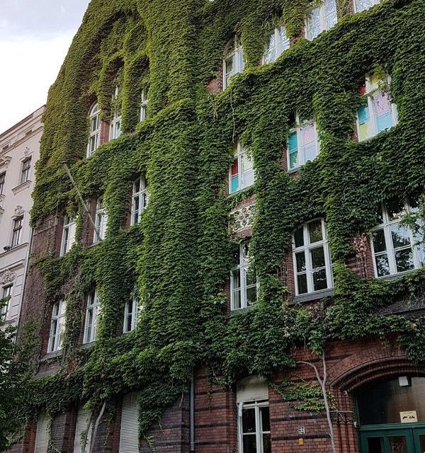 Wie das eigene Haus grüner und schöner wird