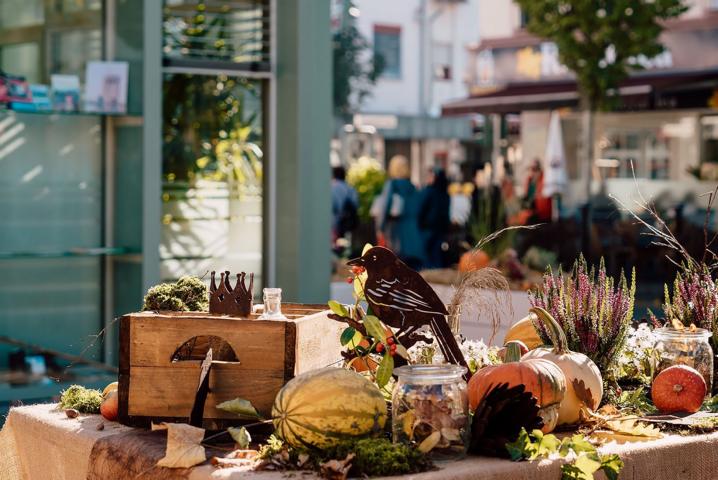 Herbstliches in der Neuwieder Tourist-Information