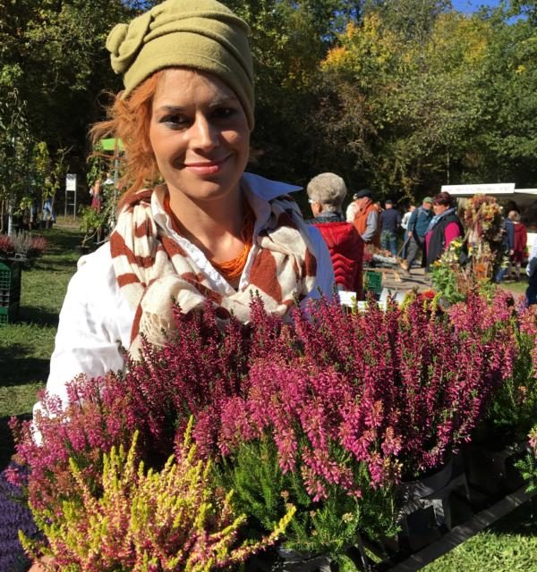 Herbstzeit ist Pflanzzeit im Rheinland-Pfälzischen Freilichtmuseum Bad Sobernheim