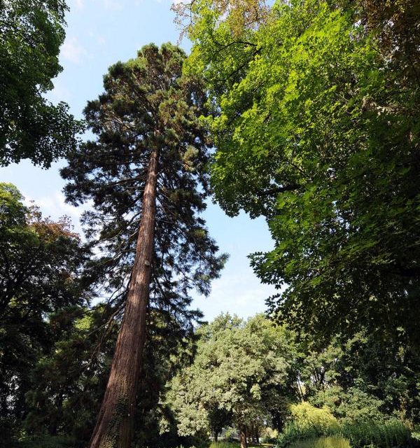 Waldstraße wegen Waldjugendspielen kurzzeitig gesperrt