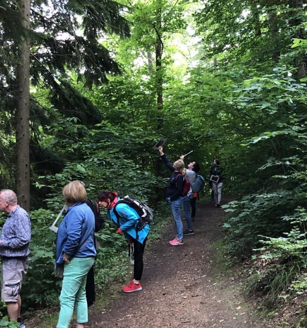 Benefiz-Aktion zu Gunsten der bundesweiten Vereine der Schutzgemeinschaft Deutscher Wald (SDW) – Waldbaden zur Sommersonnenwende am 21. Juni 2021