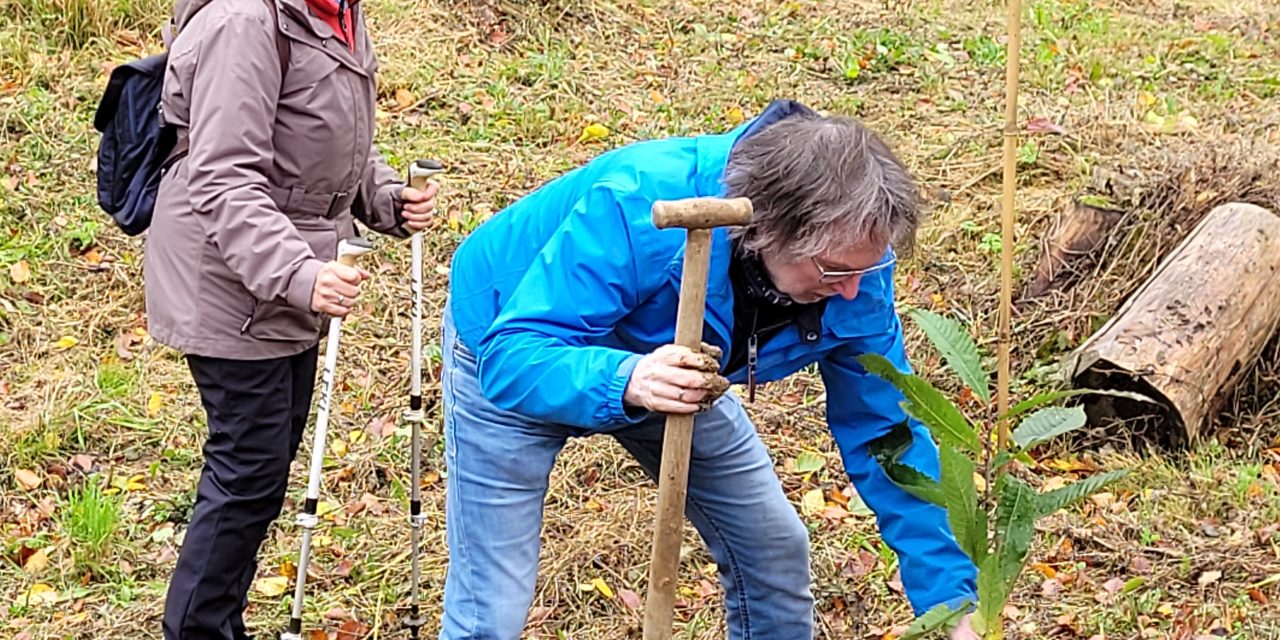 Engagement für den Bendorfer Wald
