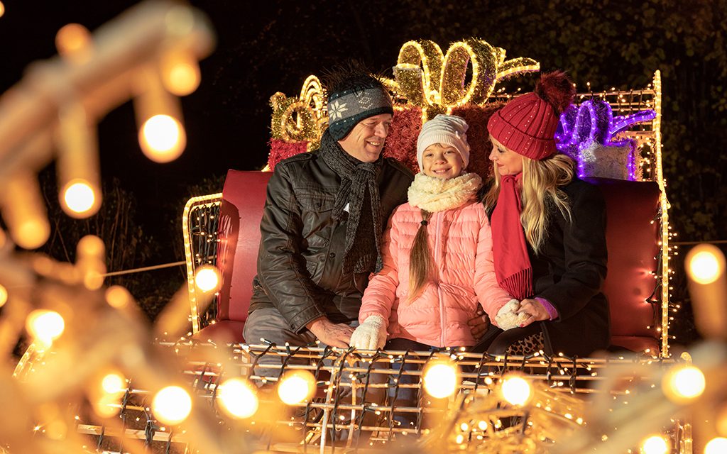 Millionen Lichtpunkte über dem Rhein Endlich! Der Christmas Garden kommt nach Koblenz 