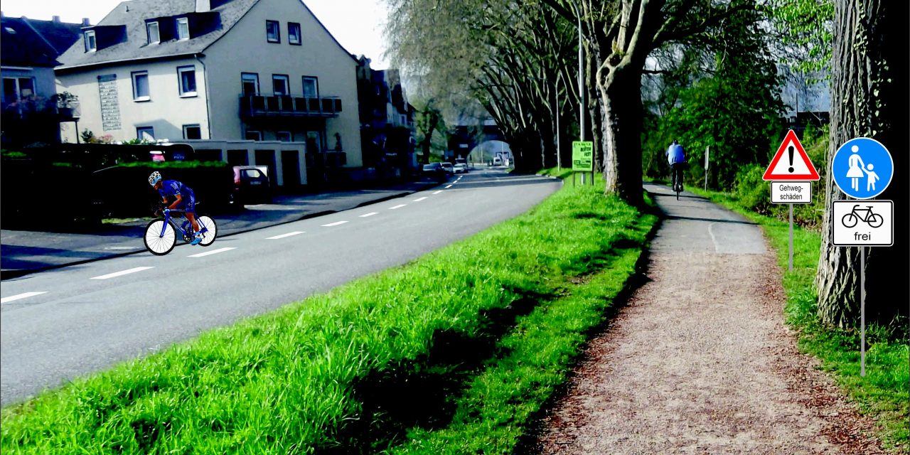 Änderung der Radverkehrsführung „Am Moselufer“