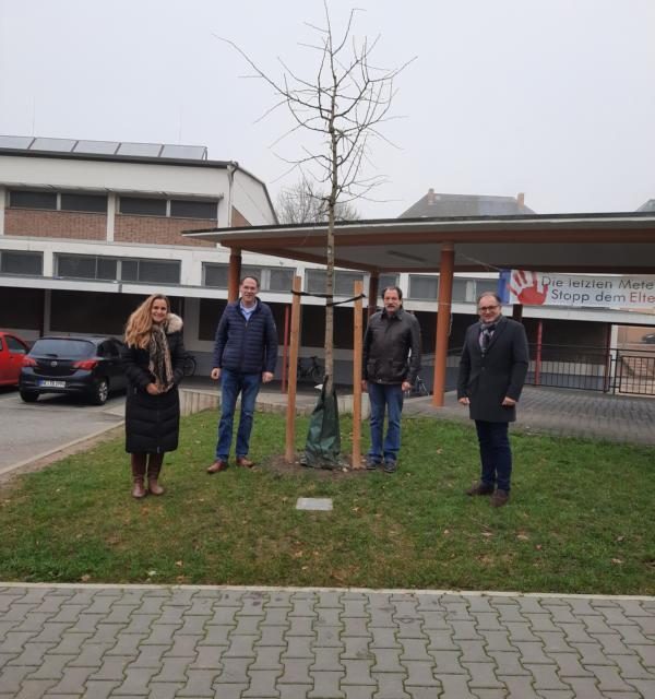 Neue Baumspende bei der Goethe-Schule Lahnstein – Michael König spendete einen Ginkgo-Baum