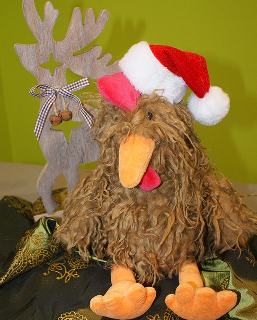 Weihnachtsferien in der Stadtbücherei Lahnstein