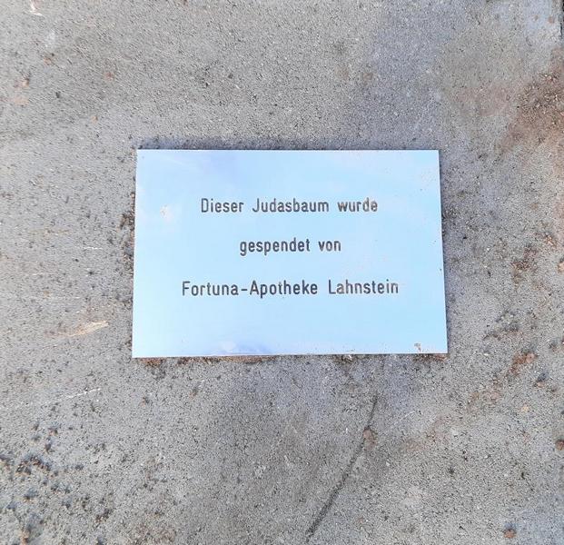 Über 30 Baumspenden in Lahnstein Ein Zeichen für den Klimaschutz setzen