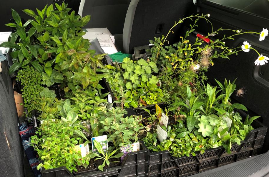 Bienenbeetbox hilft dem Artenschutz