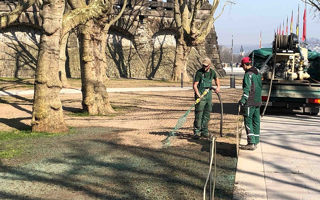 Auf künstlich gefärbten Flächen soll bald Rasen wachsen
