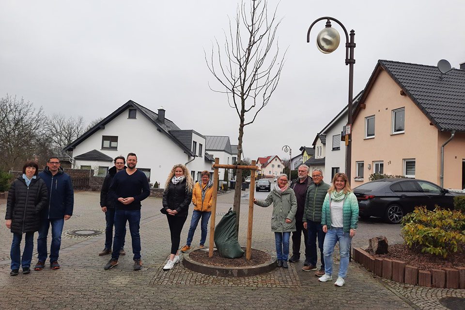 Neue Bäume in der Lahnsteiner Theodor-Zais-Straße