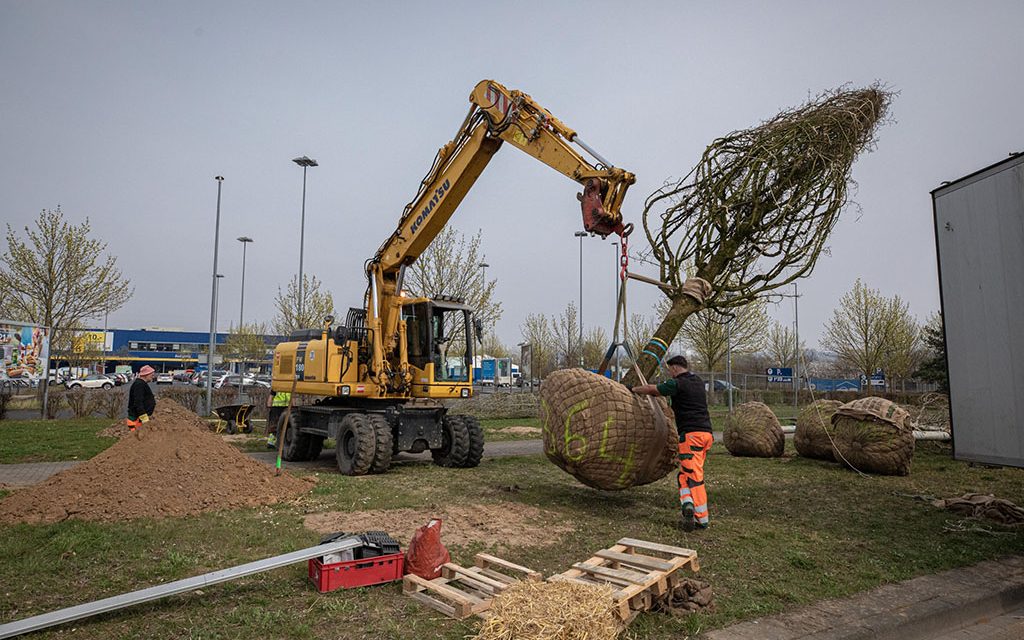 22 neue Bäume sollen Dienstleistungszentrum bereichern