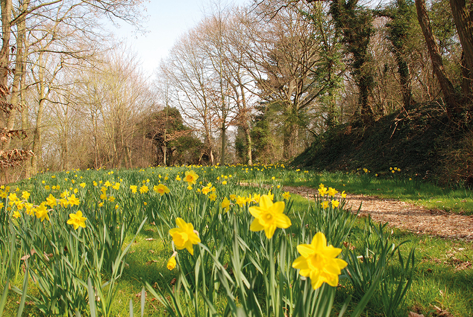 „Ein Park für die Toten und die Lebenden“ – Führung über den Koblenzer Hauptfriedhof