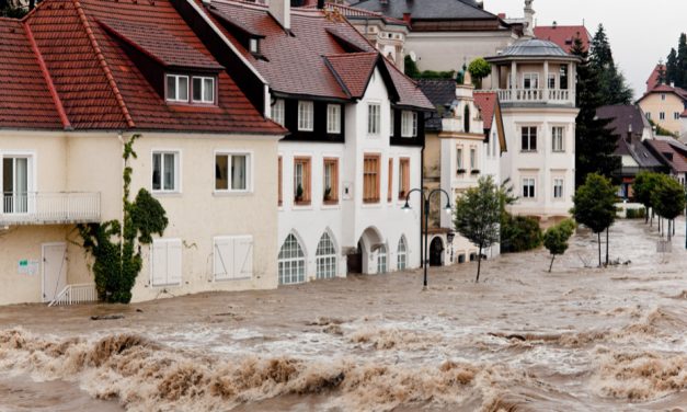 Hitze, Starkregen, Trockenheit – Klimaspaziergang informiert Koblenzerinnen und Koblenzer