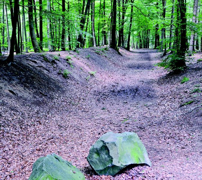 Führung: Von der Brombeerschenke zum Limeswall