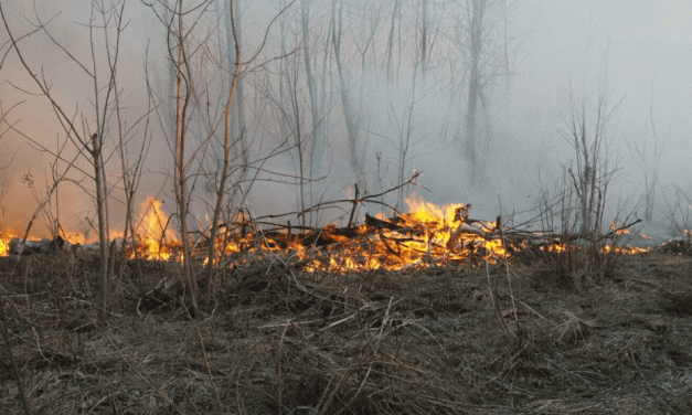 POL-PDMT: Großflächiger Wiesenbrand bei Selters