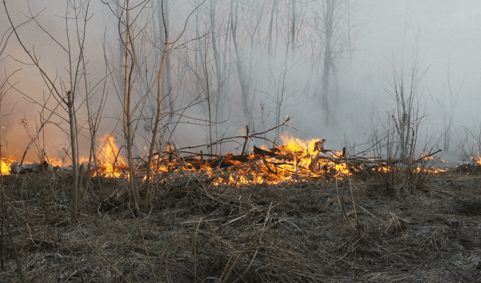 POL-PDMT: Großflächiger Wiesenbrand bei Selters