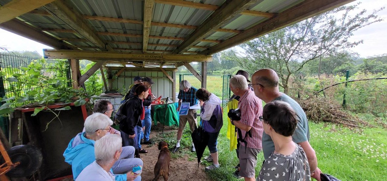 Der Unkeler Stux als bedeutender Naturraum