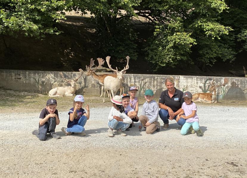 Bären, Uhus und Alpakas – „wilder“ Abschied der Vorschulkinder
