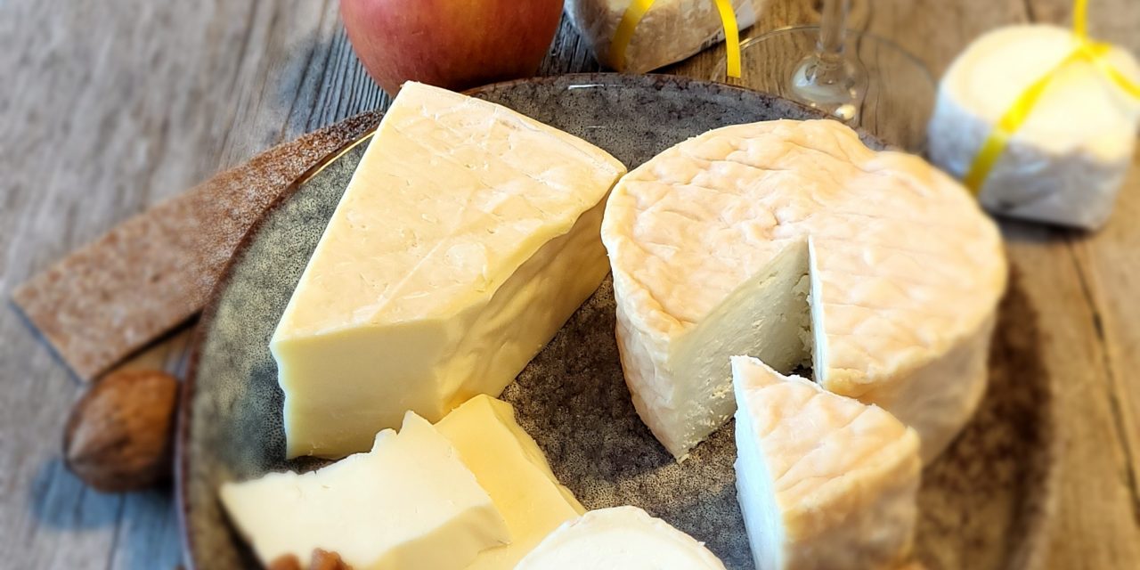 Naturgenuss mit Käse und Wein