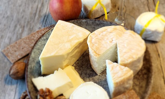 Naturgenuss mit Käse und Wein