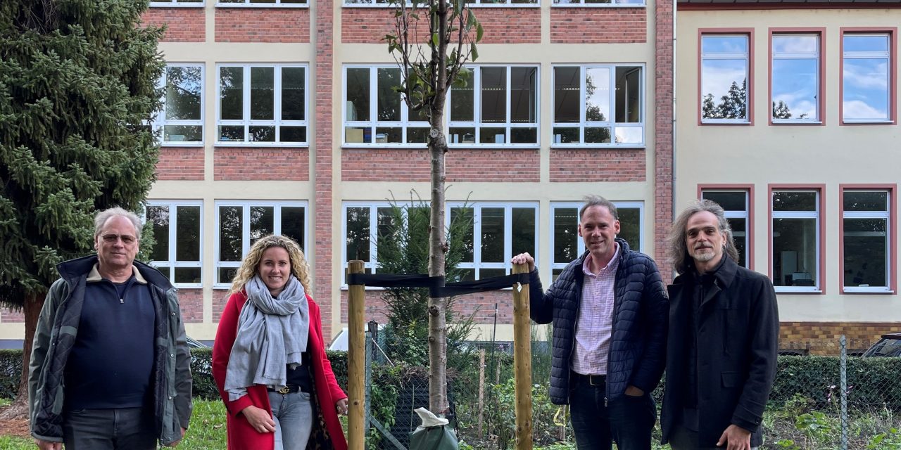 Bäume für Generationen Michael König spendet Zierkirsche für den Schillerpark