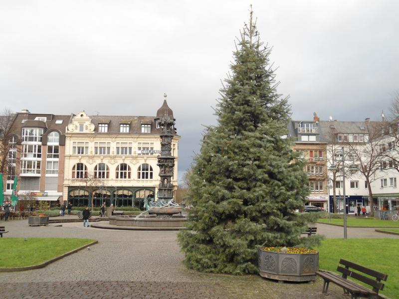 Spender von Weihnachtsbäumen gesucht