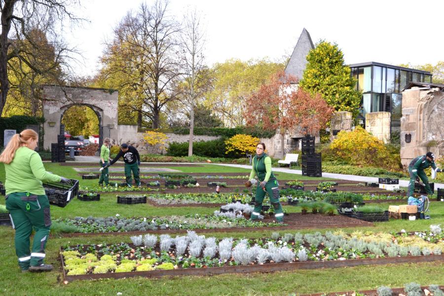 Städtische Schmuckbeete sind für den Herbst neu bepflanzt