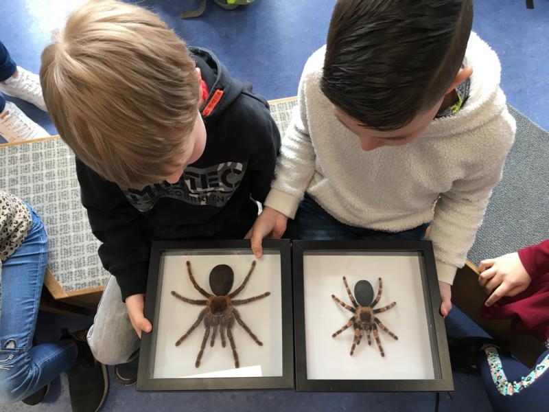 Exotischer Besuch in der Goetheschule Lahnstein