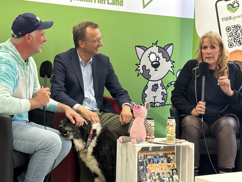 Weiche Pfoten, harte Fakten: Tierheime stehen vor dem Kollaps