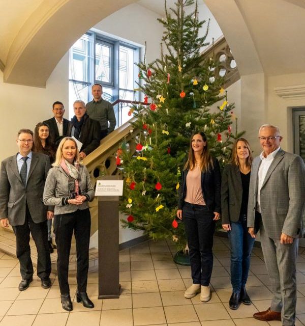 5 Meter Weihnachtsbaum für das Kreishaus