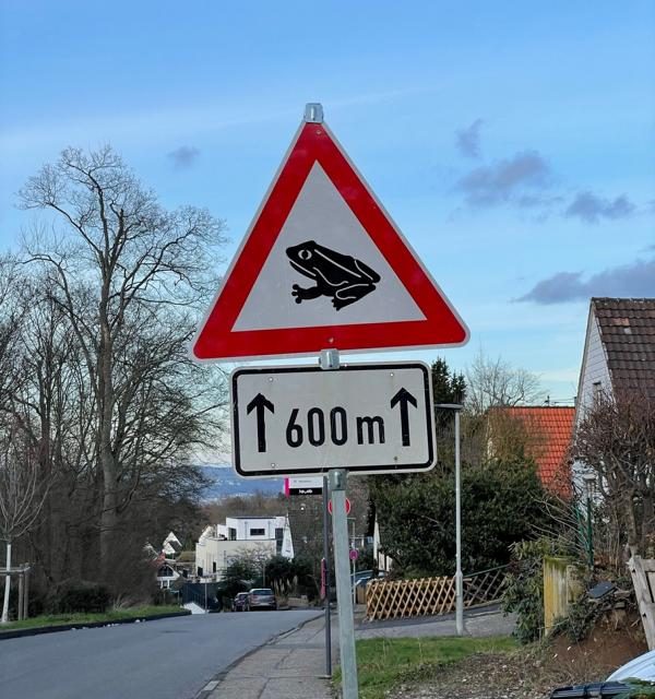 Amphibien wandern – nächtliche Straßensperrungen – Hinweisschilder aufgestellt