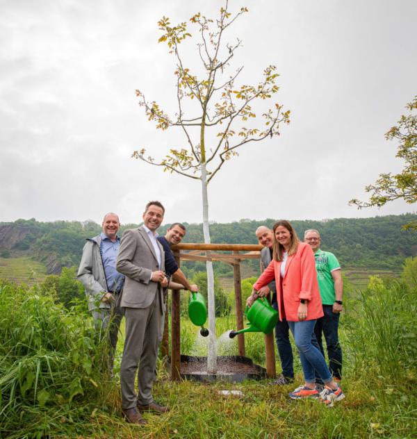 Walnussbaum-Allee soll nachhaltig an Koblenzer Tollitäten erinnern