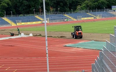 Koblenzer Sportstätte erhält neue Rasenfläche