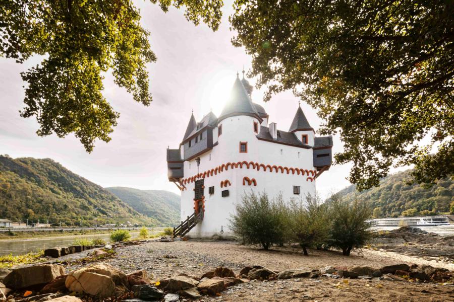 Sonderprogramme am Mittelrhein im August 2024