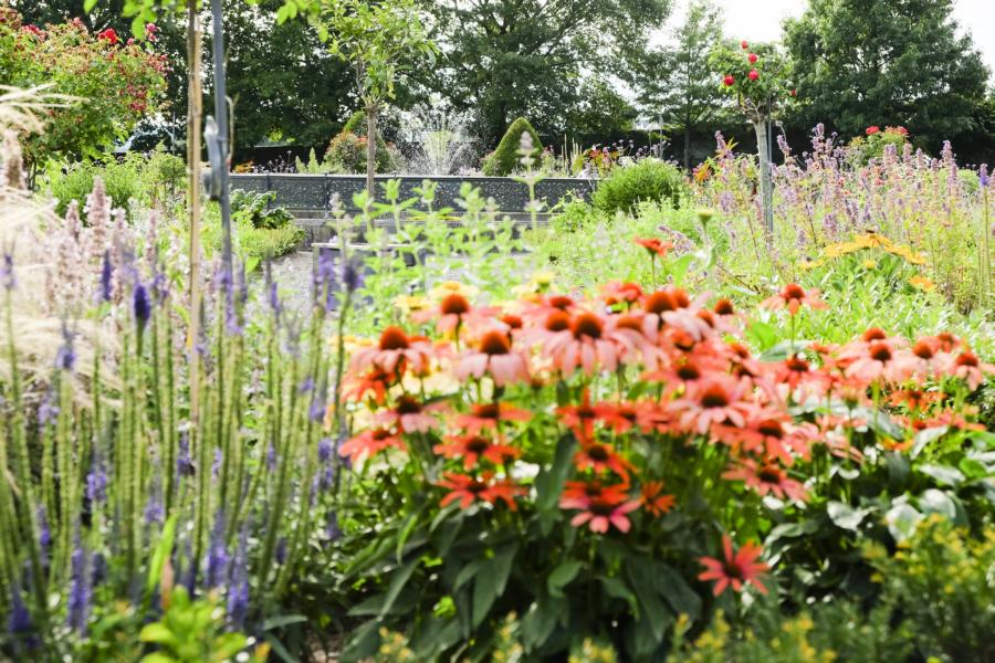 Botanik erleben und Heimatgeschichte erkunden