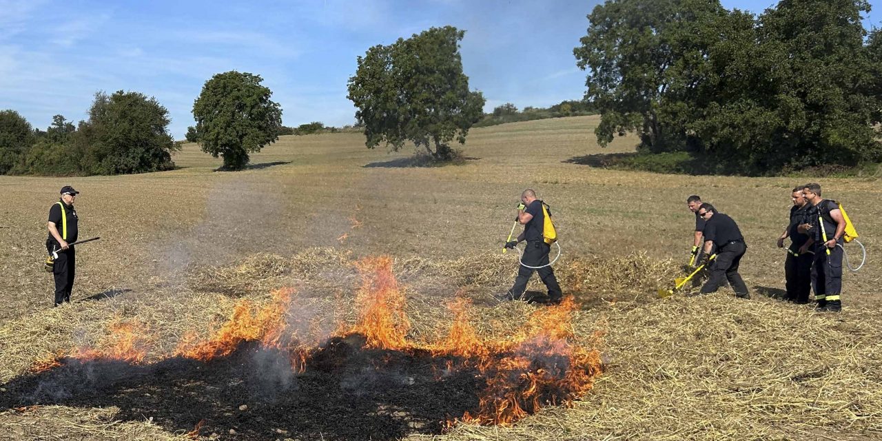 Neuwieds Feuerwehr ist fit für Wald- und Vegetationsbrände
