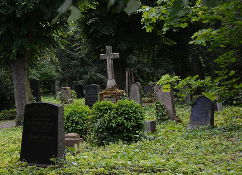 Neuwied startet in die Stadtführungs-Saison