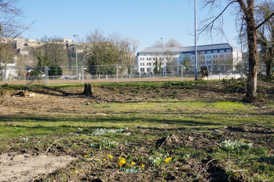 Baubeginn für den Uferpark Lützel rückt näher