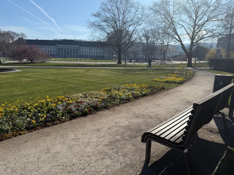 Frühlingsblüher und Blumenzwiebeln bringen Farbe in die Stadt