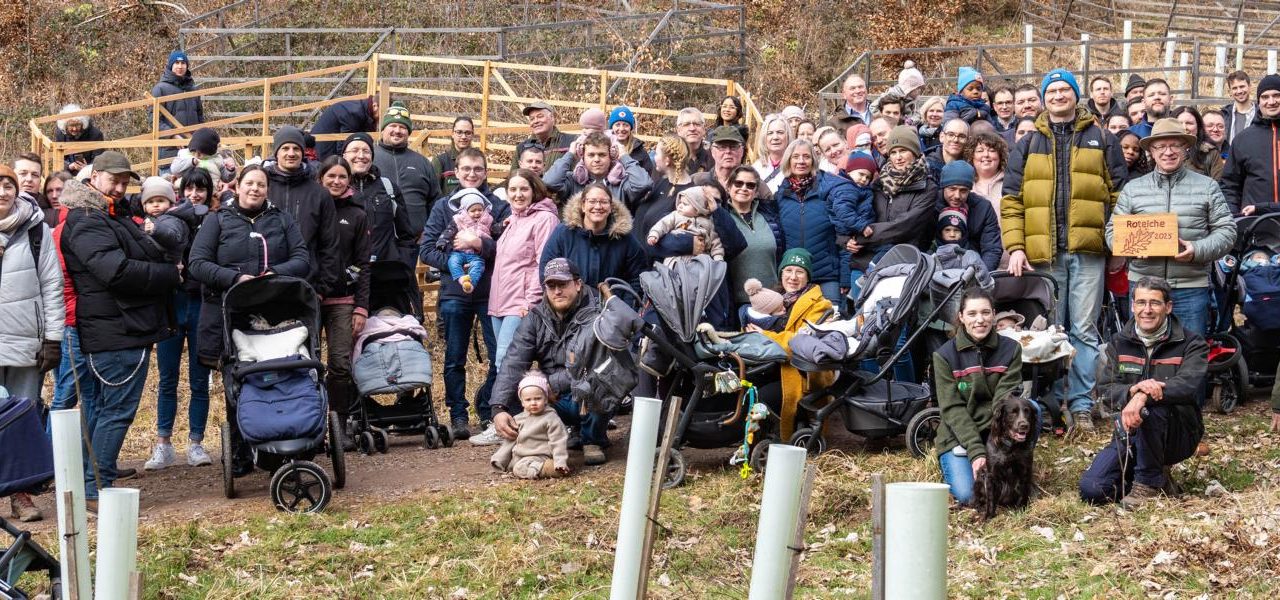 Großes Interesse an Pflanzaktion 2025: Kinder- und Hochzeitswald Boppard wächst weiter