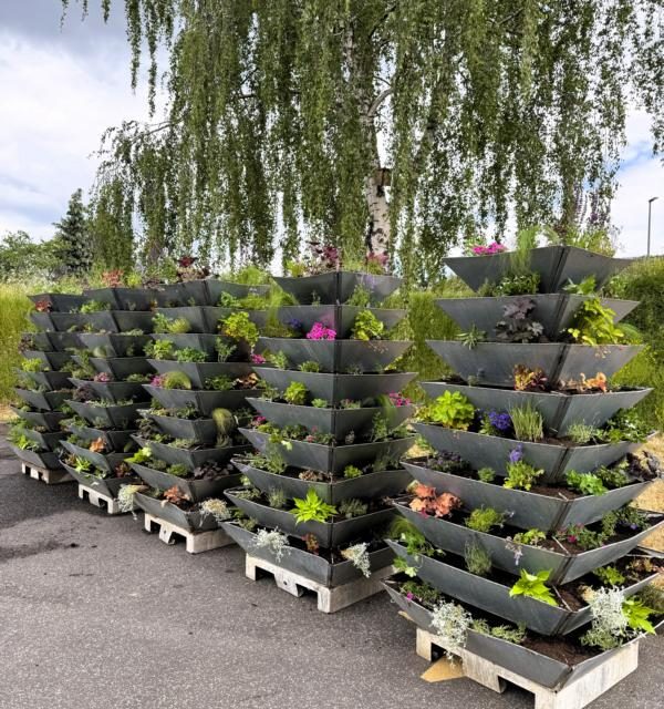 Sommerbepflanzung mit Herz, Duft und Summen