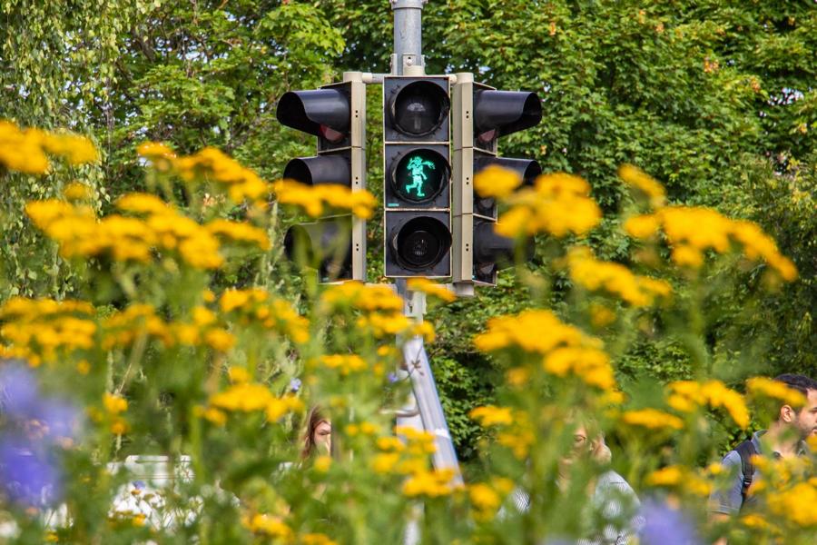 In Gedenken an Torsten Schupp: Zweite Schängelampel in Koblenz in Betrieb genommen