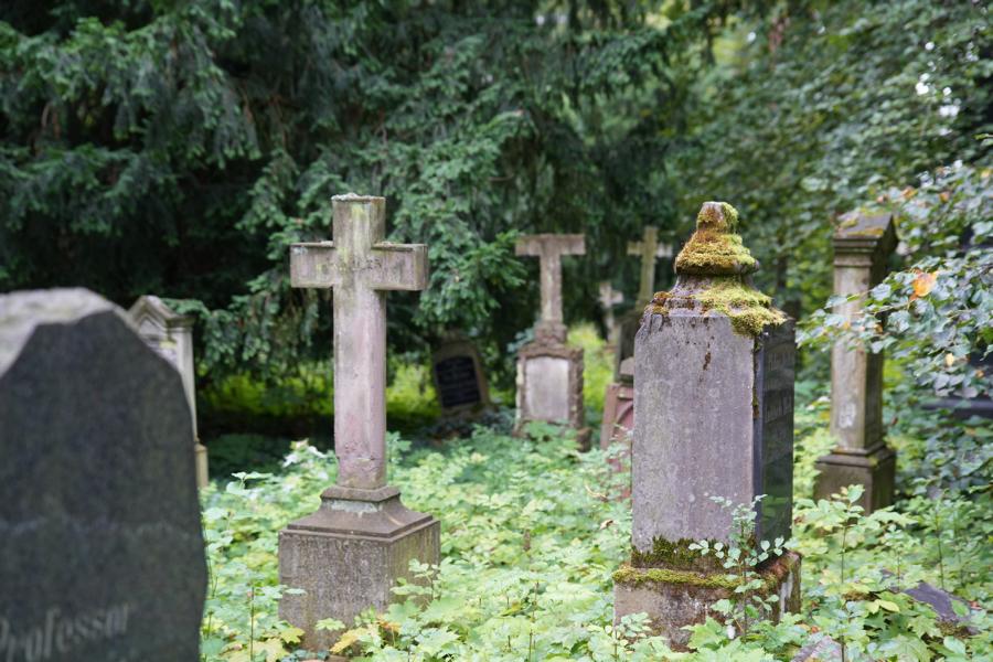 Neuwied entdecken zwischen Deich und Denkmälern