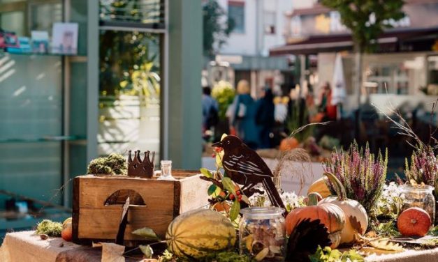 Herbstliches in der Neuwieder Tourist-Information