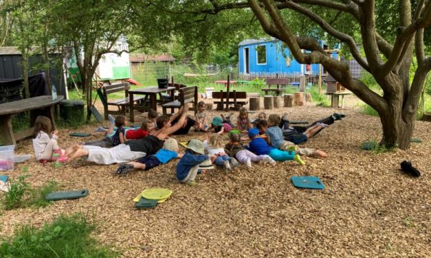 Yoga-Projekt begeistert Groß und Klein im Waldkindergarten