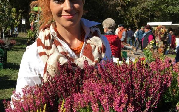 Herbstzeit ist Pflanzzeit im Rheinland-Pfälzischen Freilichtmuseum Bad Sobernheim