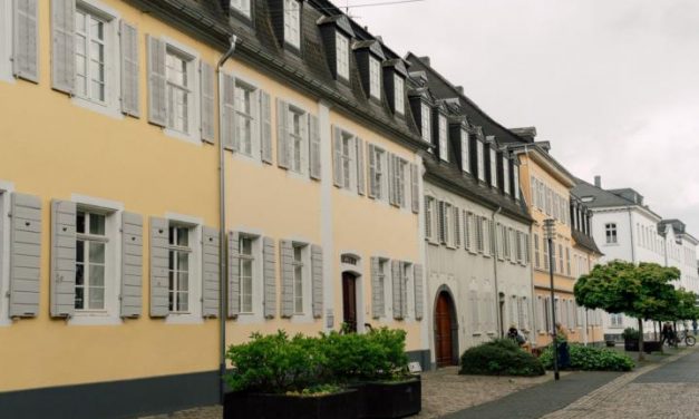 Streifzüge durchs herbstliche Neuwied