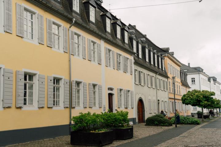 Streifzüge durchs herbstliche Neuwied