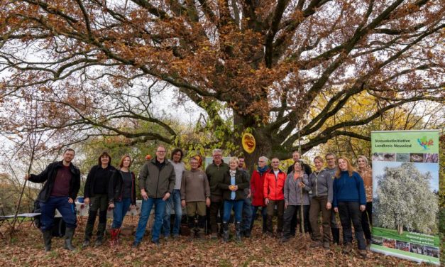 Für den Artenerhalt der Kulturlandschaft: 300 Obstbäume maßgeblich alter Sorten verteilt